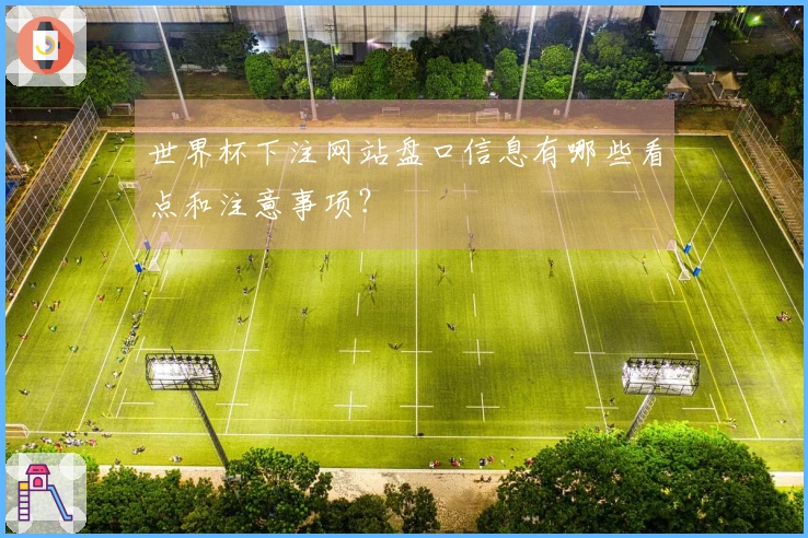 世界杯下注网站盘口信息有哪些看点和注意事项？