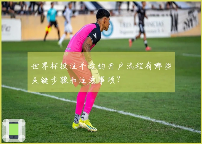 世界杯投注平台的开户流程有哪些关键步骤和注意事项？