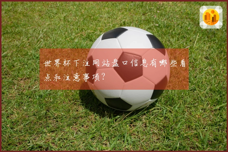 世界杯下注网站盘口信息有哪些看点和注意事项？