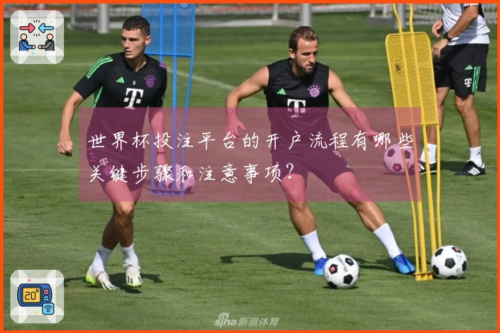 世界杯投注平台的开户流程有哪些关键步骤和注意事项？