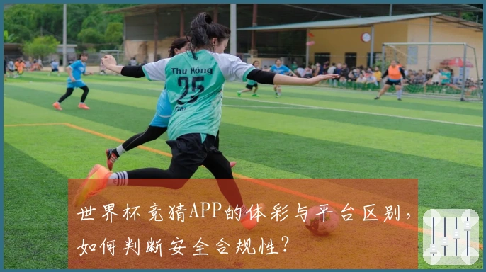 世界杯竞猜APP的体彩与平台区别，如何判断安全合规性？