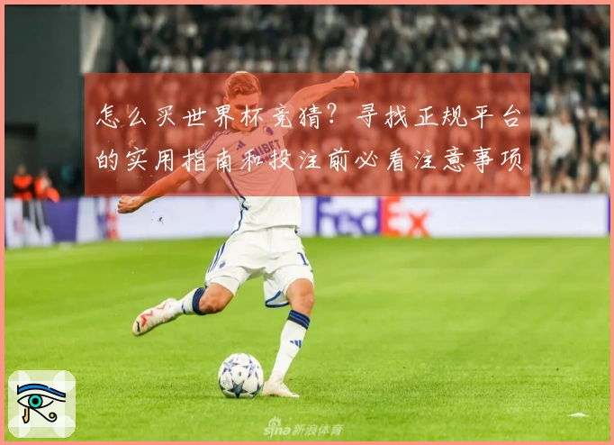 怎么买世界杯竞猜？寻找正规平台的实用指南和投注前必看注意事项